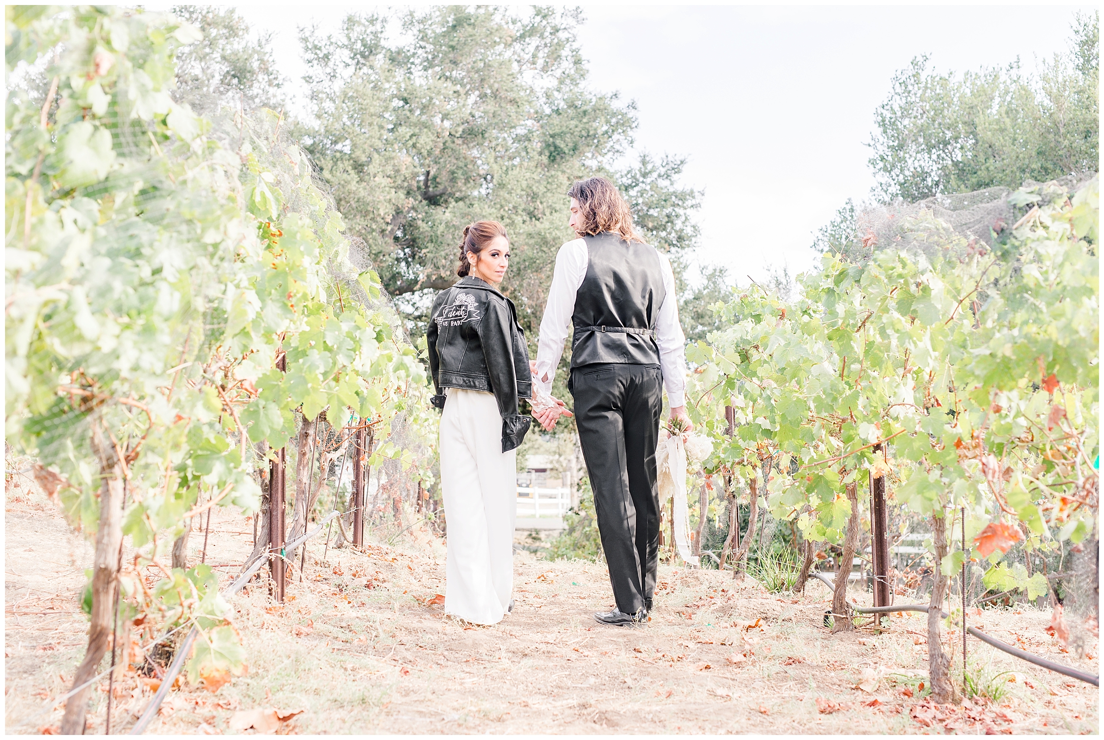 Bride and Groom Portraits in a Vineyard